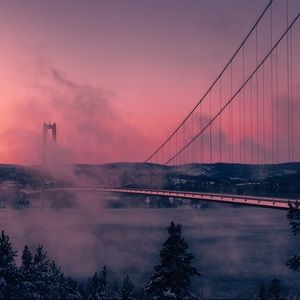 Meet your Posher, Ella